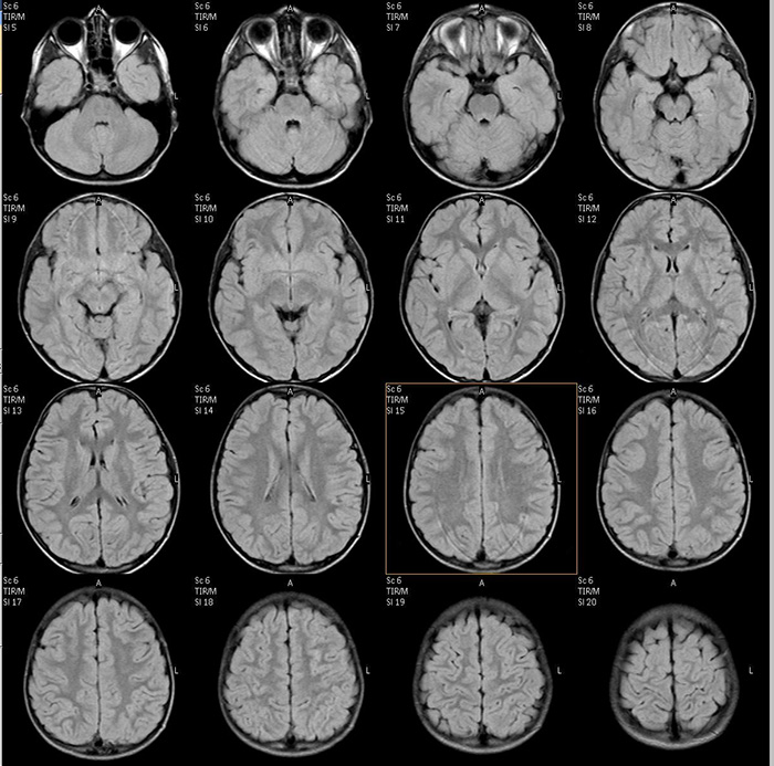 dcp чутье l изображение (download .jpg)
