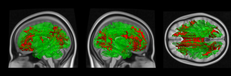 изображение проекта ncpz (download .jpg)