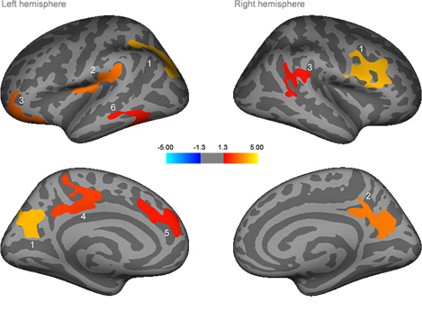 изображение проекта ncpz (download .jpg)