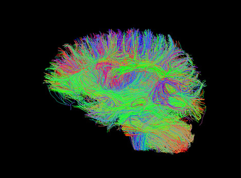 изображение проекта ncpz (download .jpg)