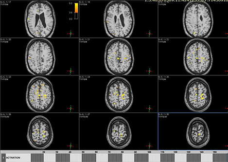 изображение правой руки (download .jpg)