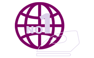 бренд № 1 в мире по производству и продажам утюгов