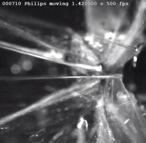 Не просто очередной ирригатор