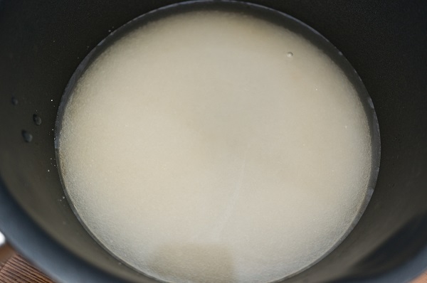 Ice-cream with sea-buckthorn and yoghurt 2