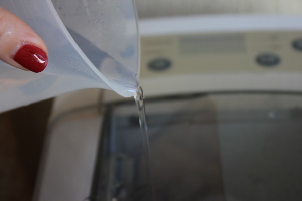 Pasta and chicken salad water