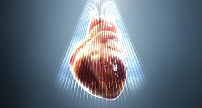 hepatology image